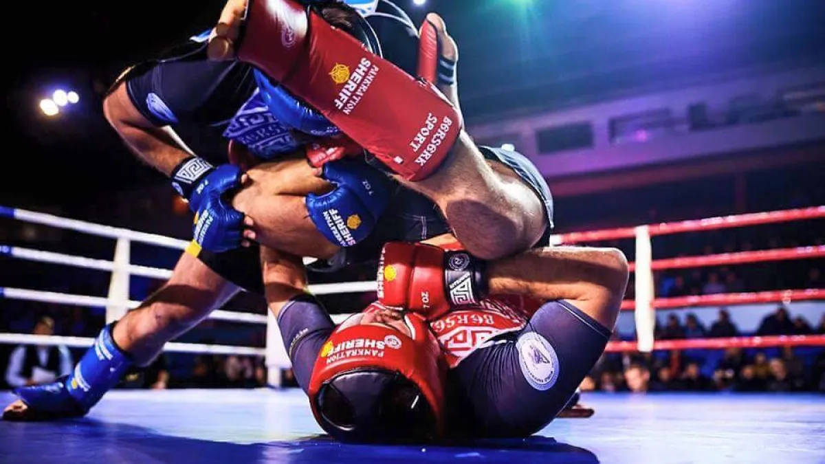 MMA (Смешанные единоборства)